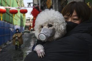 dog mask